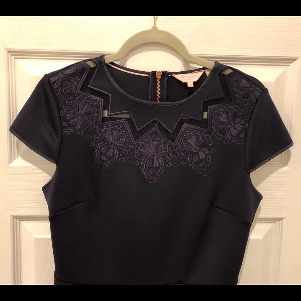 Ted Baker Cheskka Lace and Mesh Skater Dress